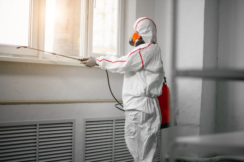 Professional mold remediation services in Leesburg, OH